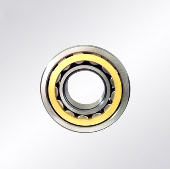 Cylindrical Roller Bearings 